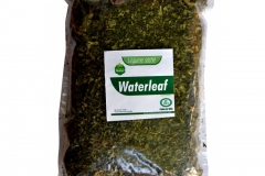 Dried-Waterleaf