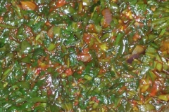 Waterleaf-soup