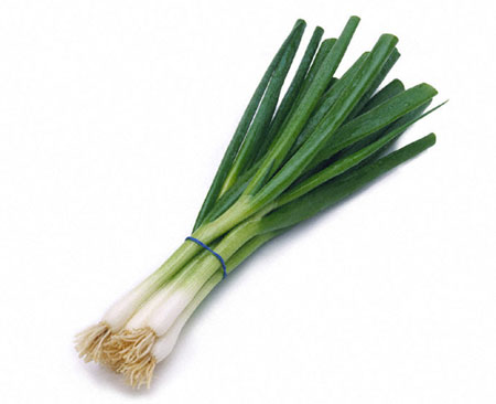 Bunch-of-Welsh-onion