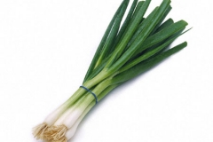 Bunch-of-Welsh-onion