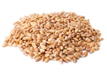 Wheat-grains