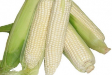 White-maize