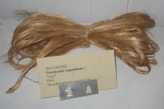 White-Jute