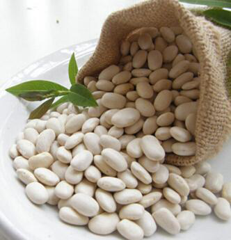 White-kidney-beans