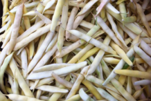 White-Kidney-bean's-pods
