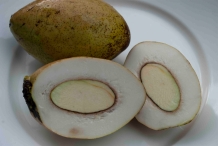 Half-cut-White-Mango