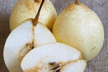 White-pear-cut