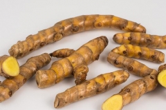 White-Turmeric--Curcuma-zédoaire