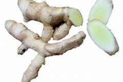 White-Turmeric--Gajutsu