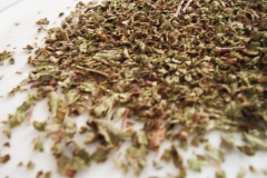 Dried-Wild-Clary