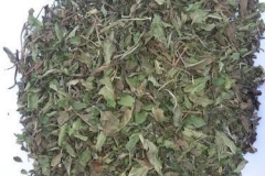 Dried-leaves-of-Wild-mint