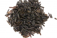 Wild-rice