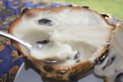 Wild-Sugar-apple-pulp