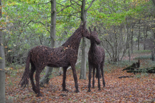 Sculpture-made-from-willow