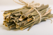 Willow-bark collected
