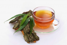 Willow-bark-tea