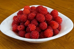 Wineberry