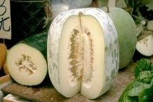 Half-cut-Winter-melon