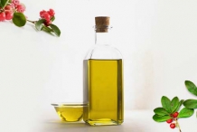 Wintergreen-oil
