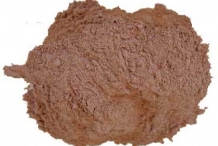 Witch-Hazel-Bark-Powder