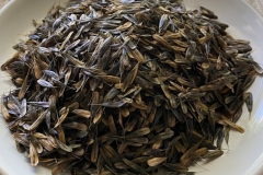Seeds-of-the-Woad