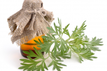 Wormwood-essential-oil