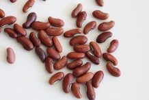 Seeds-of-Yardlong-beans