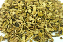 Dried-yellow-dock-root