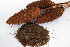 Dried-fruits-and-seeds-of-Yerba-Mansa