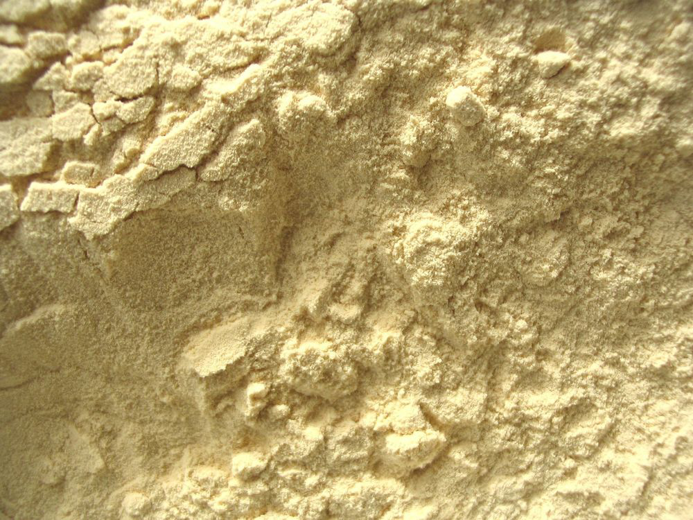 Yucca-root-powder