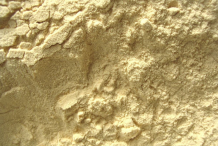 Yucca-root-powder