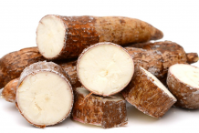Yucca-roots