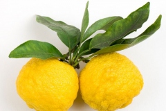 Yuzu-Fruit
