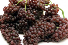 Fresh-Zante-Currant
