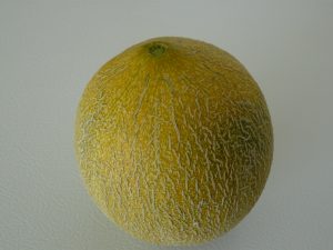Ambrosia Melon
