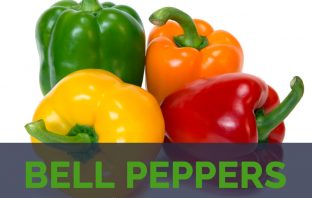 Bell Peppers facts and health benefits