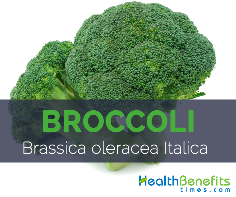 Broccoli - Brassica oleracea Italica