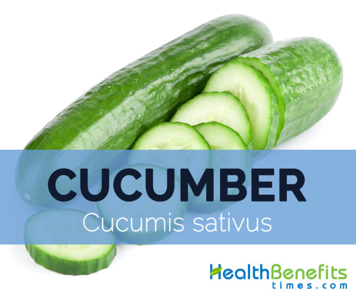 Cucumber Facts, Health Benefits and Nutritional Value