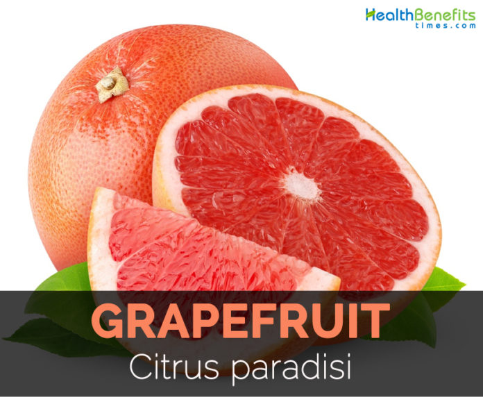 Grapefruit Facts, Health Benefits and Nutritional Value