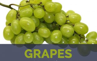 Grapes facts and health benefits