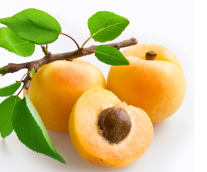 Health benefits of Apricots