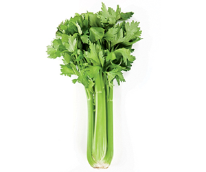 Health benefits of Celery