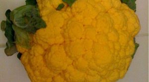 Orange-cauliflower