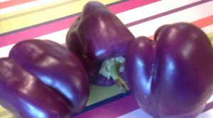 Purple-Bell-pepper