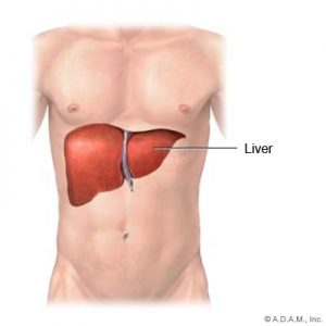 apple-Detoxify-liver
