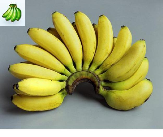 Health benefits of Banana | HB times