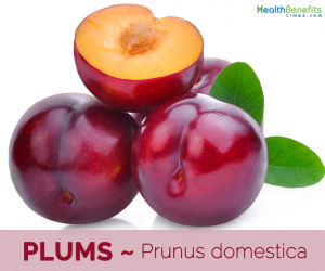 Health benefits of Plums