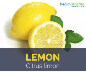 Lemon facts and health benefits