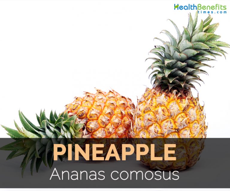 Pineapple Facts, Health Benefits and Nutritional Value