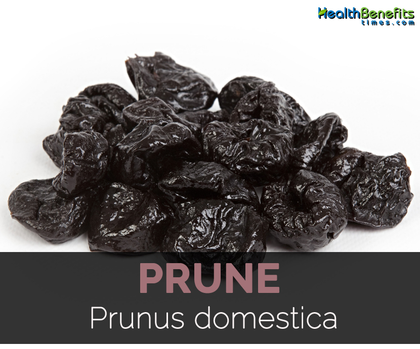 Prune Facts, Health Benefits and Nutritional Value